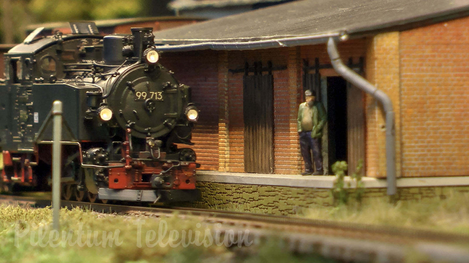 Beautiful Model Steam Train Layout of the Saxon Narrow Gauge Railways with Transporter Wagon