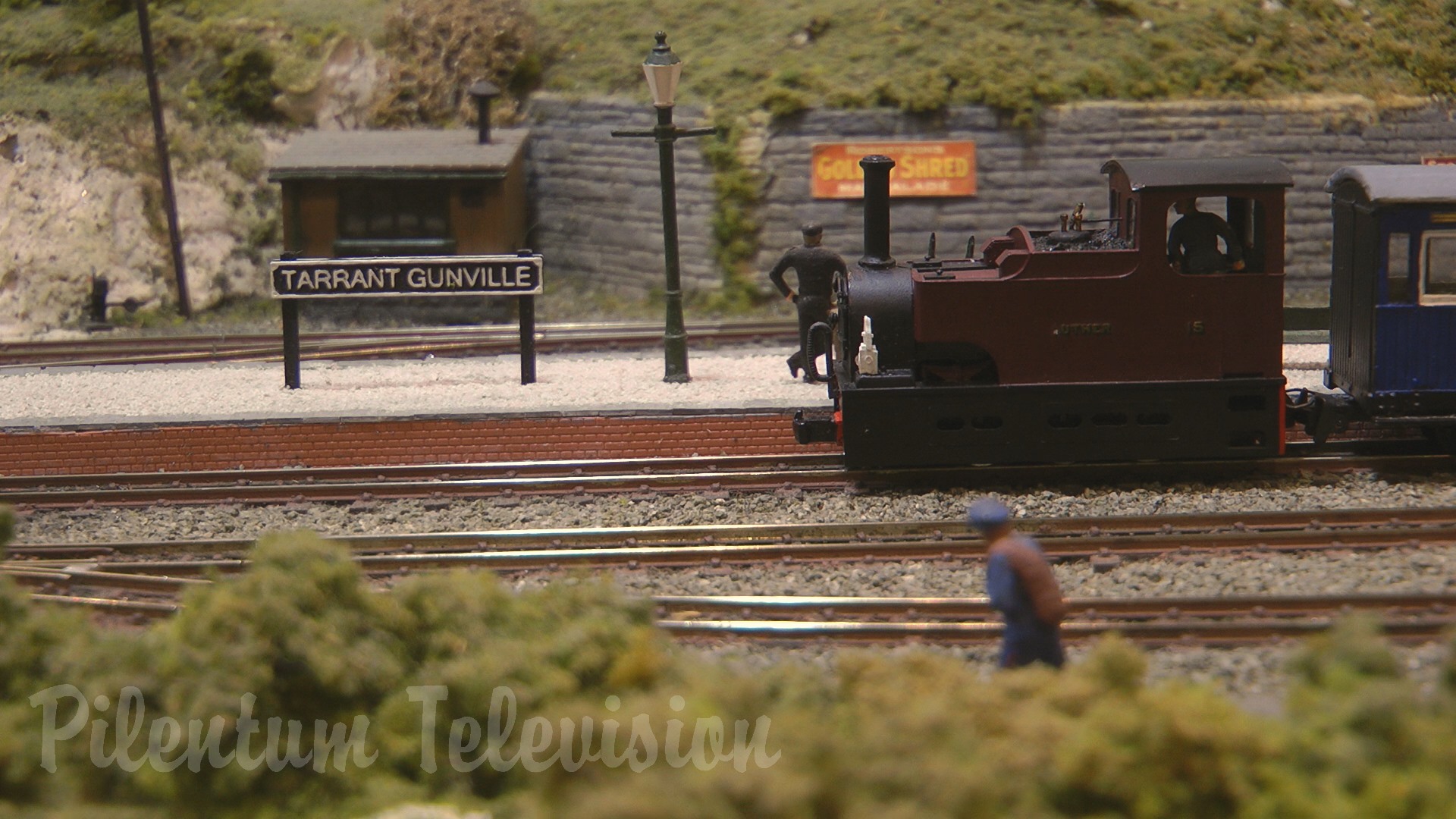 Steam Locomotive (Cab Ride) and Model Trains in Action on Wimborne Railway Society’s Layout