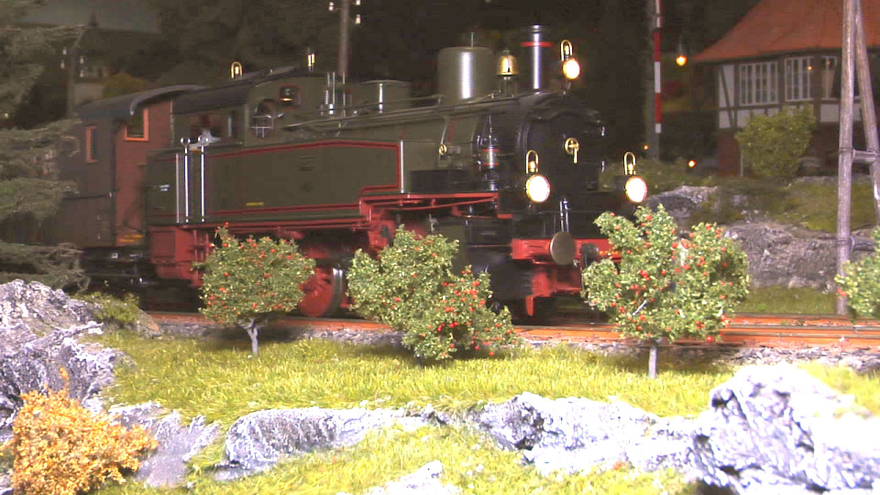 Steam Locomotives at speed in Gauge 1 - 1/32 Scale (Model Railways)